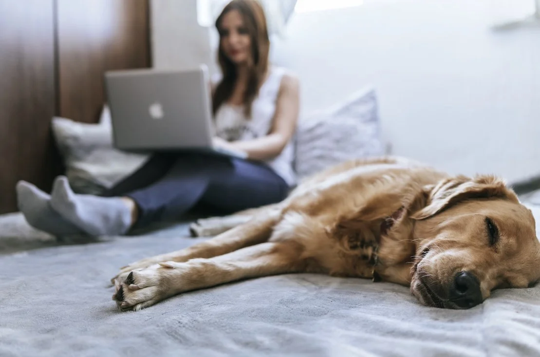 tech smart bed