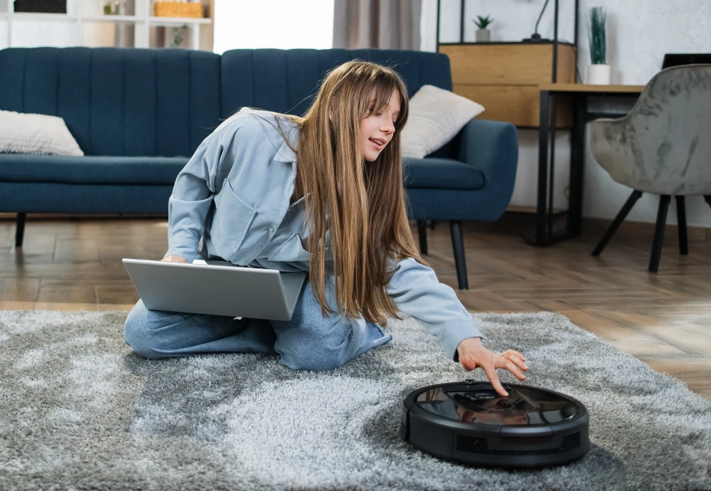 robot vacuum cleaner with docking station